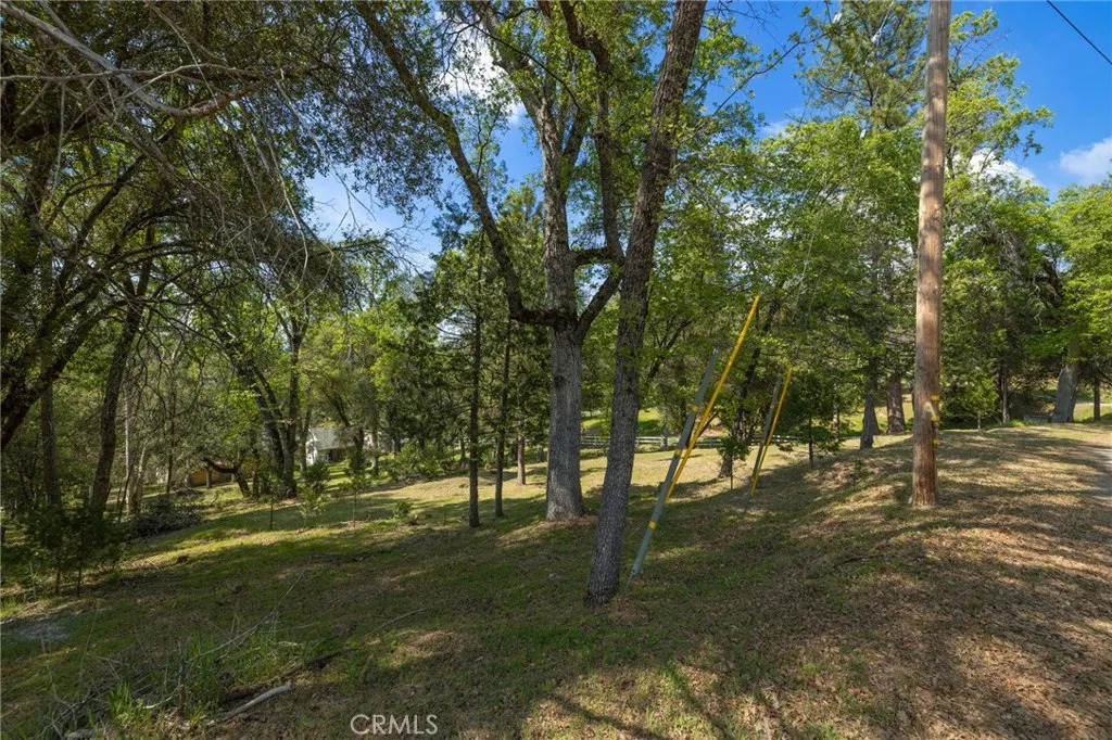 1 Oak Oakhurst, CA 93644 - Photo 15 of 48 a view of outdoor space with trees
