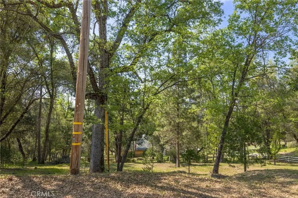 1 Oak Oakhurst, CA 93644 - Photo 16 of 48 a view of a yard with large trees