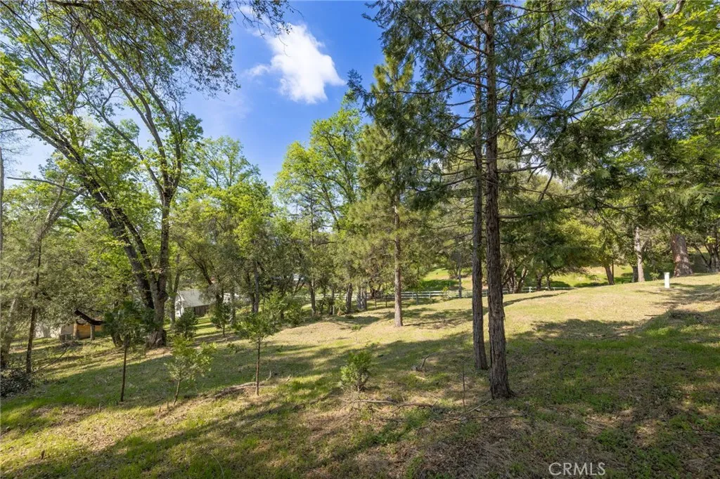 1 Oak Oakhurst, CA 93644 - Photo 17 of 48 a view of yard with tree