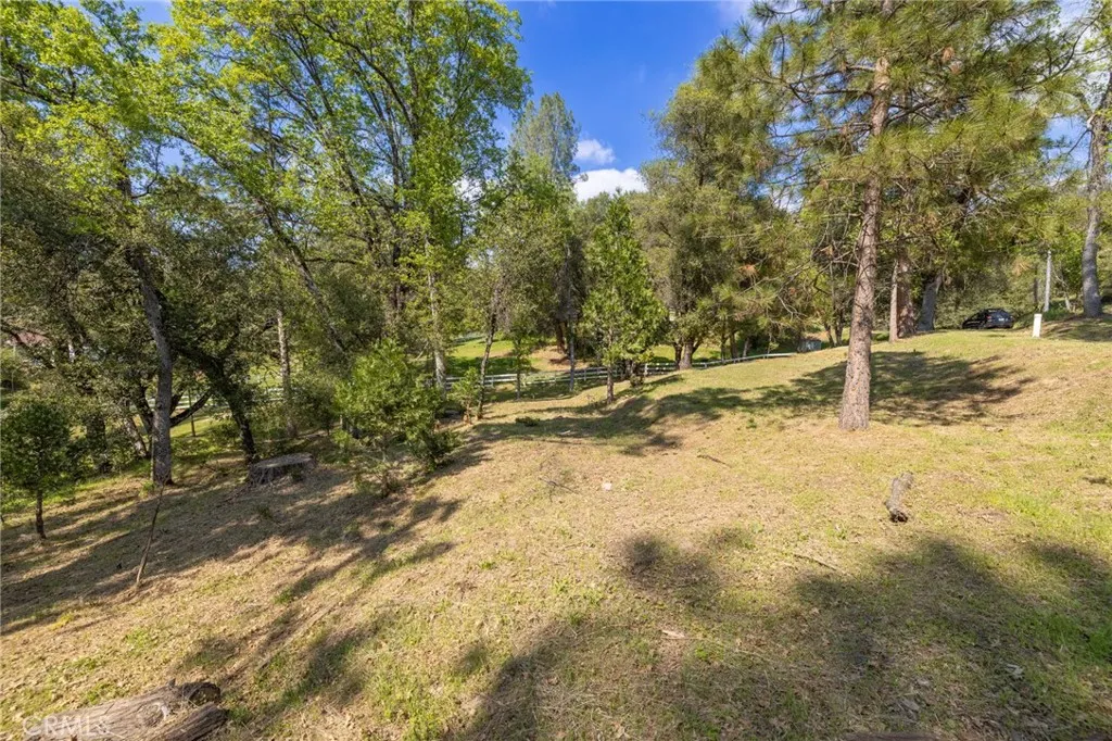 1 Oak Oakhurst, CA 93644 - Photo 18 of 48 a view of a yard with a tree