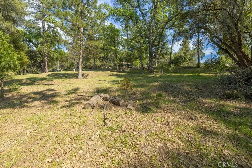 1 Oak Oakhurst, CA 93644 - Photo 19 of 48 a view of a yard with trees