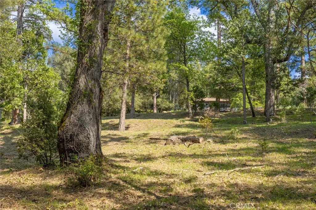 1 Oak Oakhurst, CA 93644 - Photo 20 of 48 a view of yard with trees