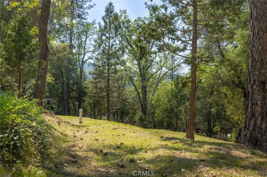1 Oak Oakhurst, CA 93644 - Photo 2 of 48 a view of a yard with large trees