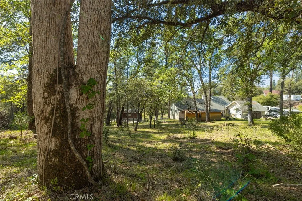 1 Oak Oakhurst, CA 93644 - Photo 21 of 48 a view of yard with trees