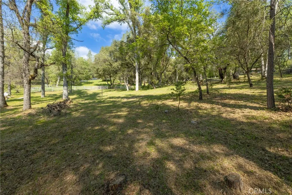 1 Oak Oakhurst, CA 93644 - Photo 22 of 48 a view of a yard with a tree