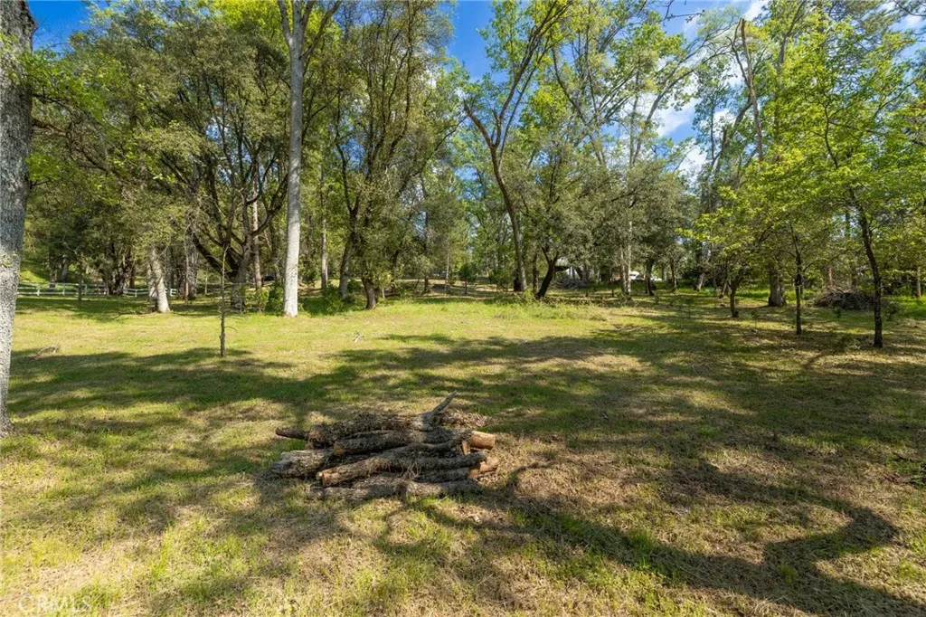 1 Oak Oakhurst, CA 93644 - Photo 23 of 48 a view of a field with a tree