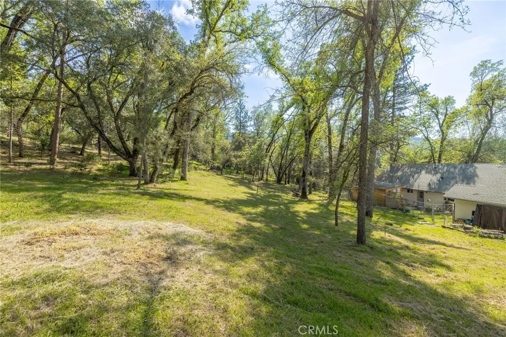 1 Oak Oakhurst, CA 93644 - Photo 26 of 48 a view of yard with swimming pool and trees