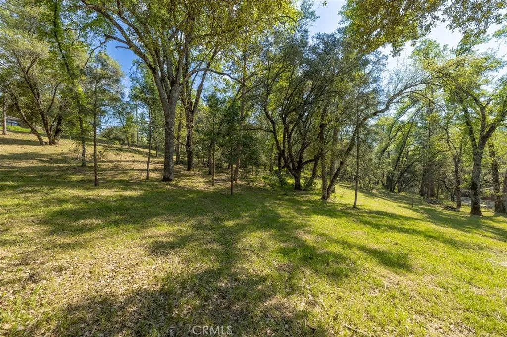 1 Oak Oakhurst, CA 93644 - Photo 27 of 48 a swimming pool with trees in the background