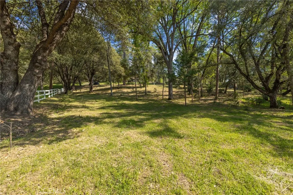 1 Oak Oakhurst, CA 93644 - Photo 28 of 48 a view of a trees in a yard
