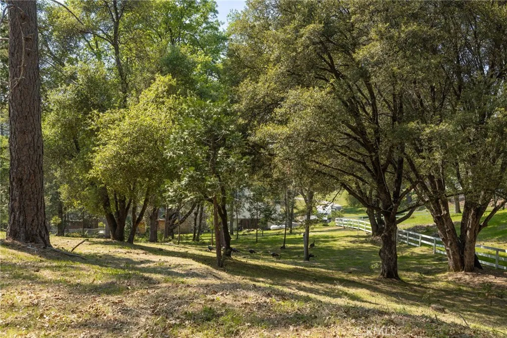 1 Oak Oakhurst, CA 93644 - Photo 3 of 48 a view of a yard with large trees