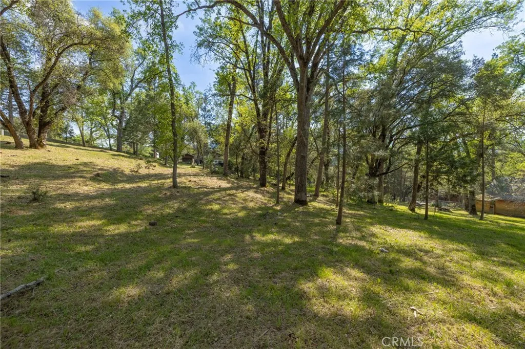 1 Oak Oakhurst, CA 93644 - Photo 33 of 48 a yard with trees in the background