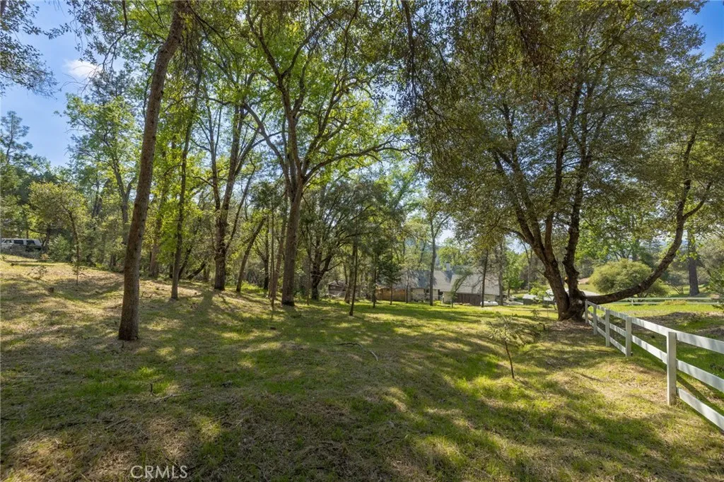 1 Oak Oakhurst, CA 93644 - Photo 34 of 48 a yard with trees in the background