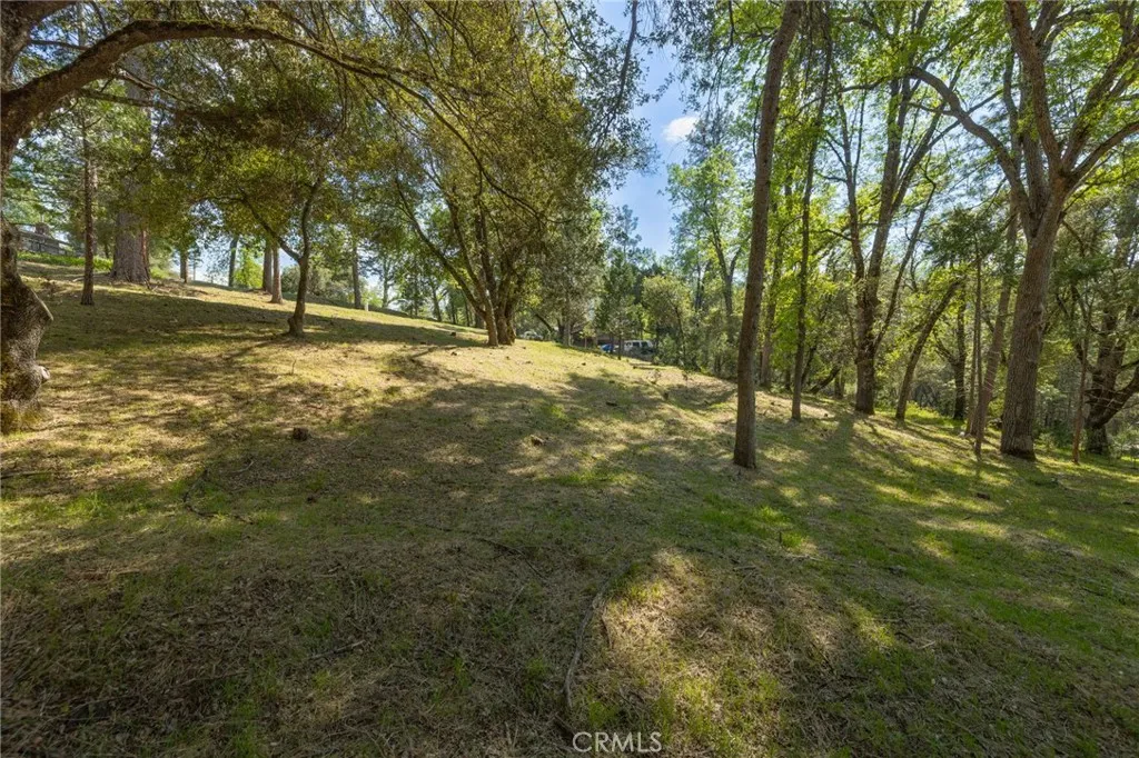 1 Oak Oakhurst, CA 93644 - Photo 35 of 48 a view of yard with trees