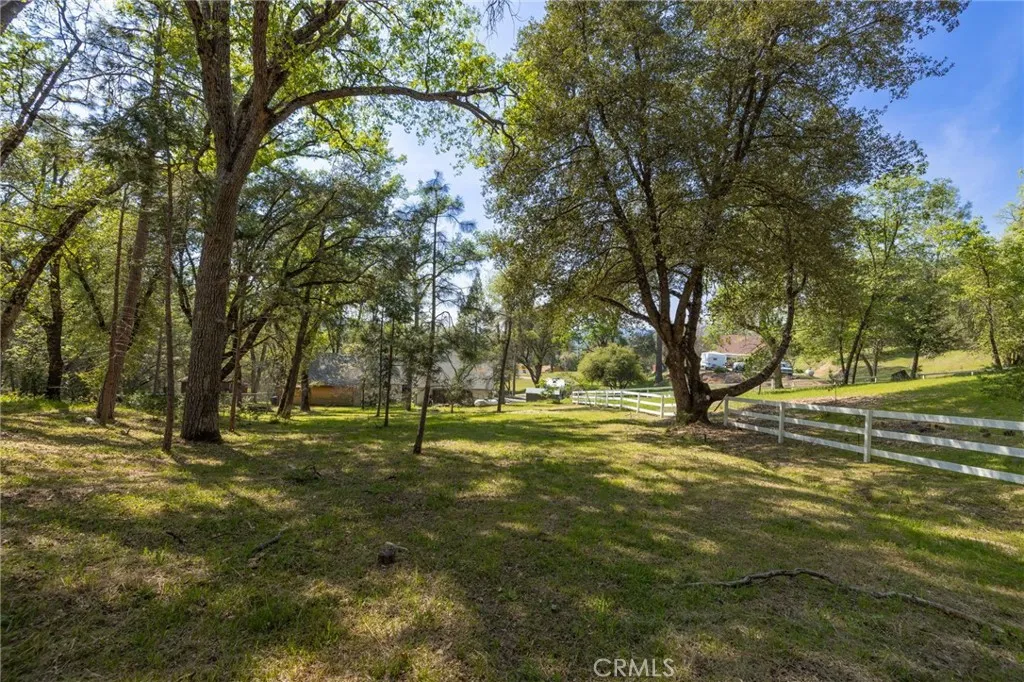 1 Oak Oakhurst, CA 93644 - Photo 36 of 48 a view of yard with trees