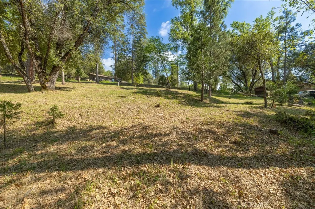 1 Oak Oakhurst, CA 93644 - Photo 37 of 48 a view of yard with trees