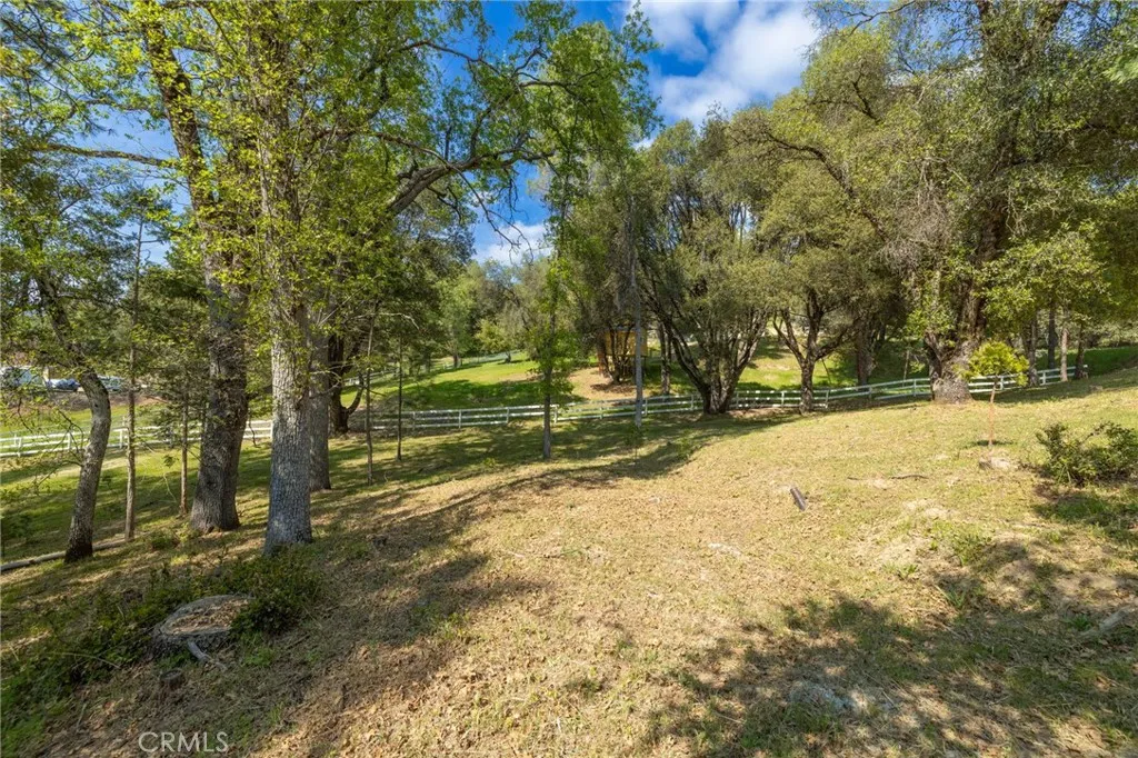 1 Oak Oakhurst, CA 93644 - Photo 38 of 48 a view of road view with large trees