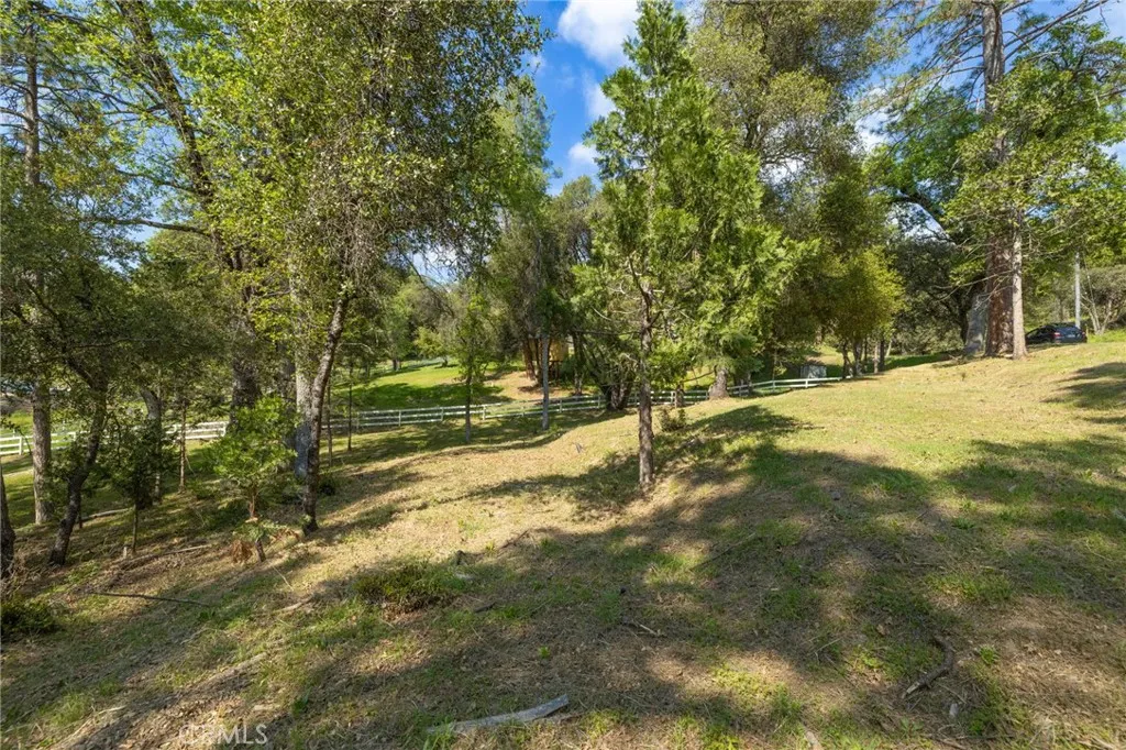 1 Oak Oakhurst, CA 93644 - Photo 39 of 48 a view of yard with trees