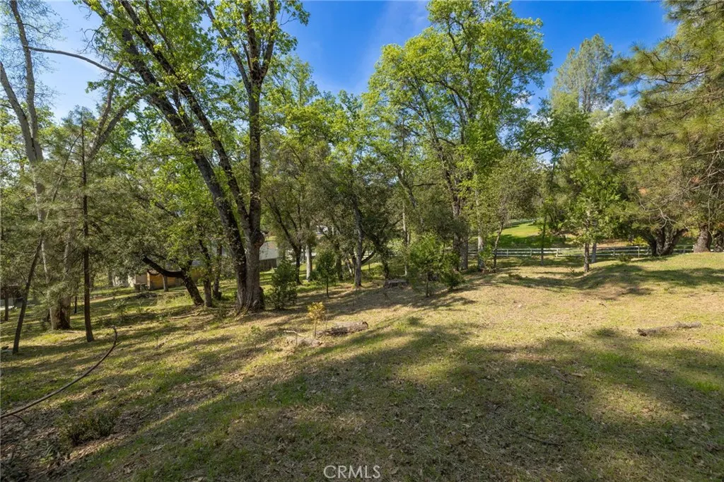 1 Oak Oakhurst, CA 93644 - Photo 40 of 48 a view of yard with trees