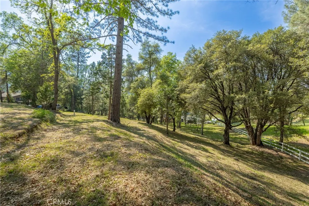 1 Oak Oakhurst, CA 93644 - Photo 4 of 48 a view of a yard with trees