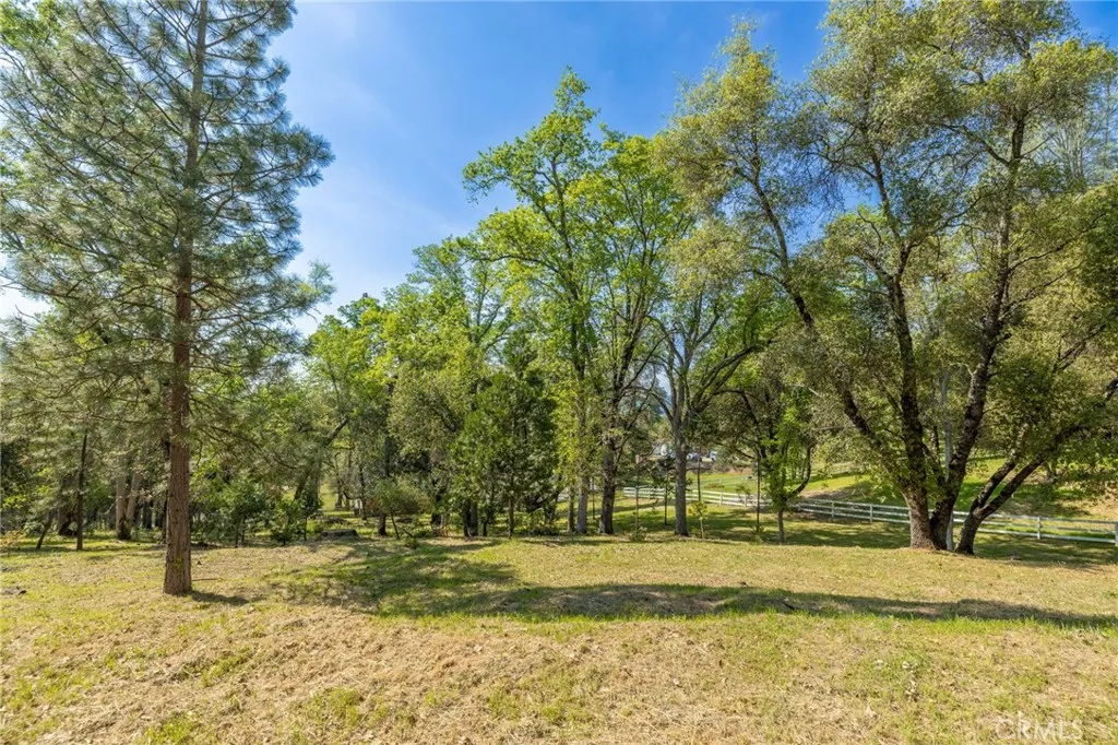 1 Oak Oakhurst, CA 93644 - Photo 41 of 48 a view of yard with trees