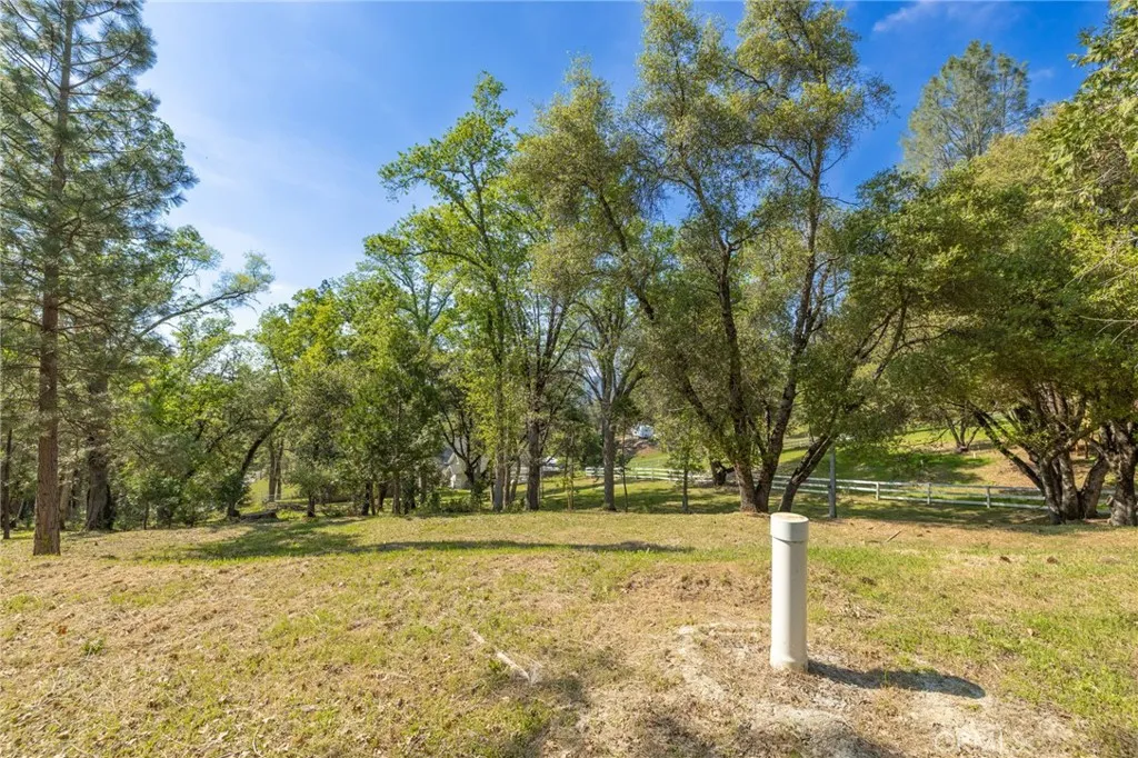 1 Oak Oakhurst, CA 93644 - Photo 42 of 48 a view of yard