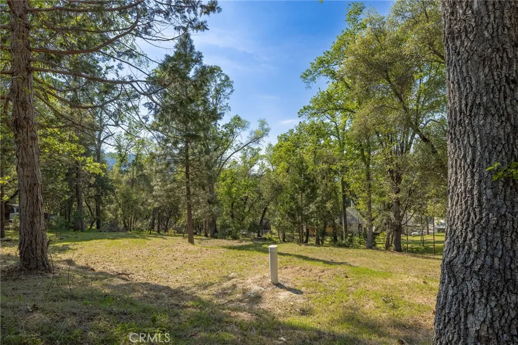 1 Oak Oakhurst, CA 93644 - Photo 44 of 48 a view of a yard with trees