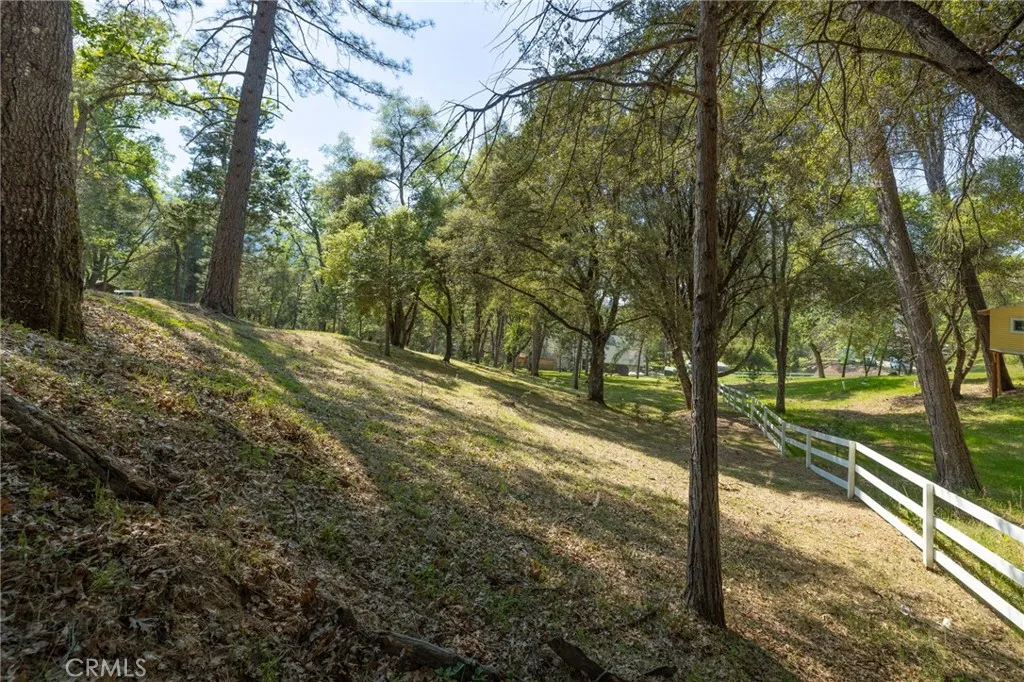 1 Oak Oakhurst, CA 93644 - Photo 5 of 48 a view of a yard with large trees
