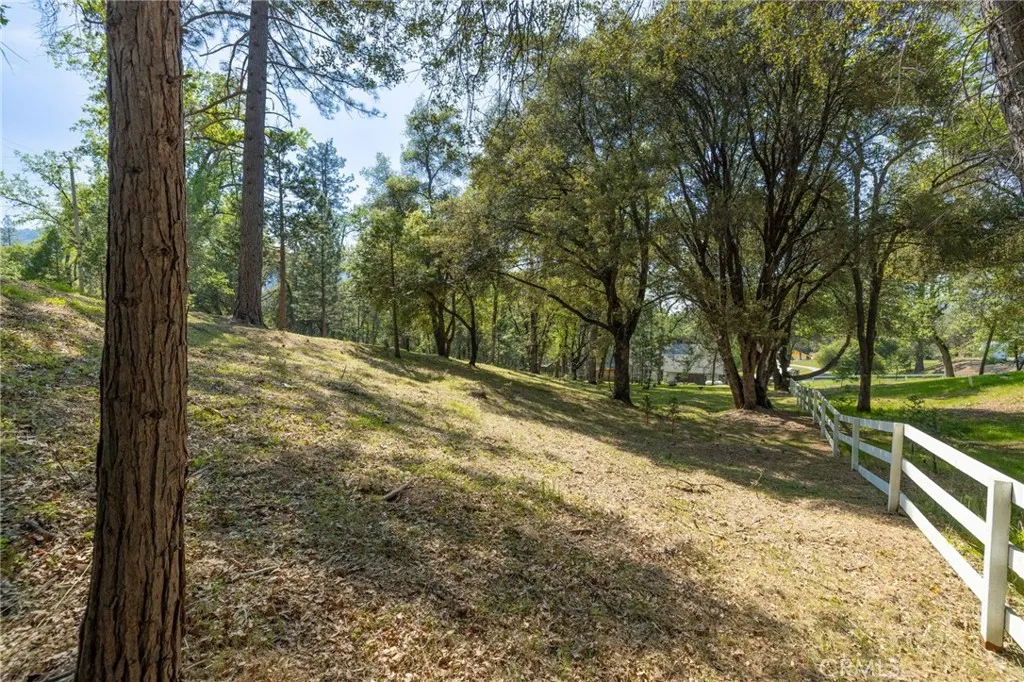 1 Oak Oakhurst, CA 93644 - Photo 6 of 48 a view of a yard with large trees