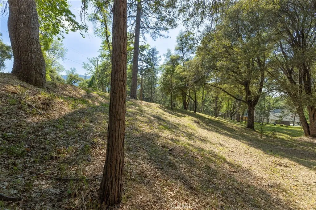 1 Oak Oakhurst, CA 93644 - Photo 7 of 48 a view of a yard with large trees