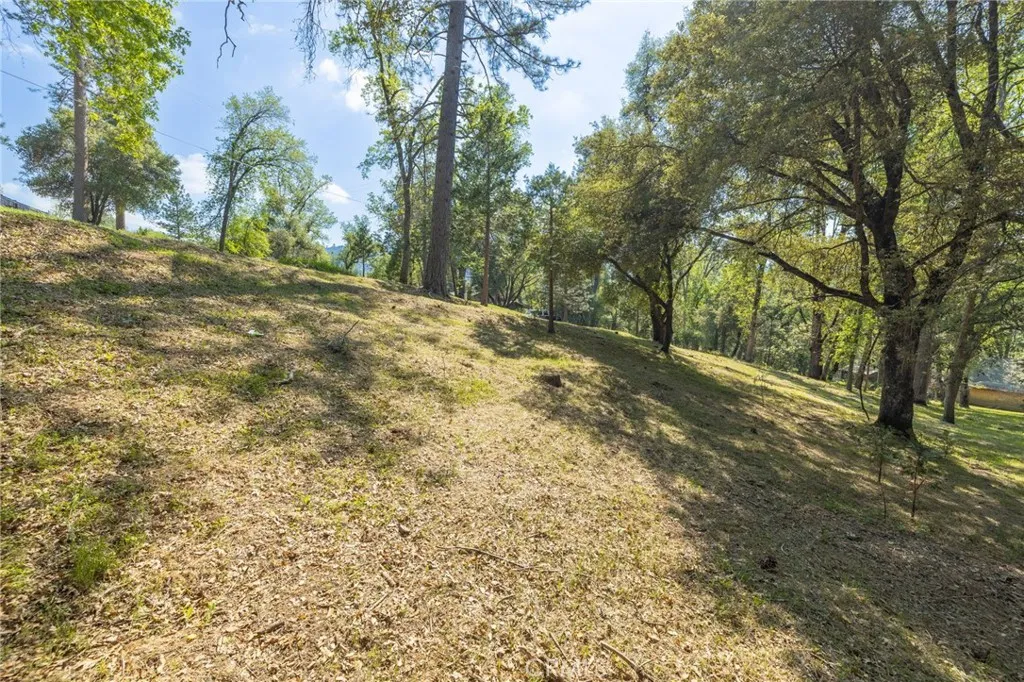 1 Oak Oakhurst, CA 93644 - Photo 9 of 48 a view of a yard with trees