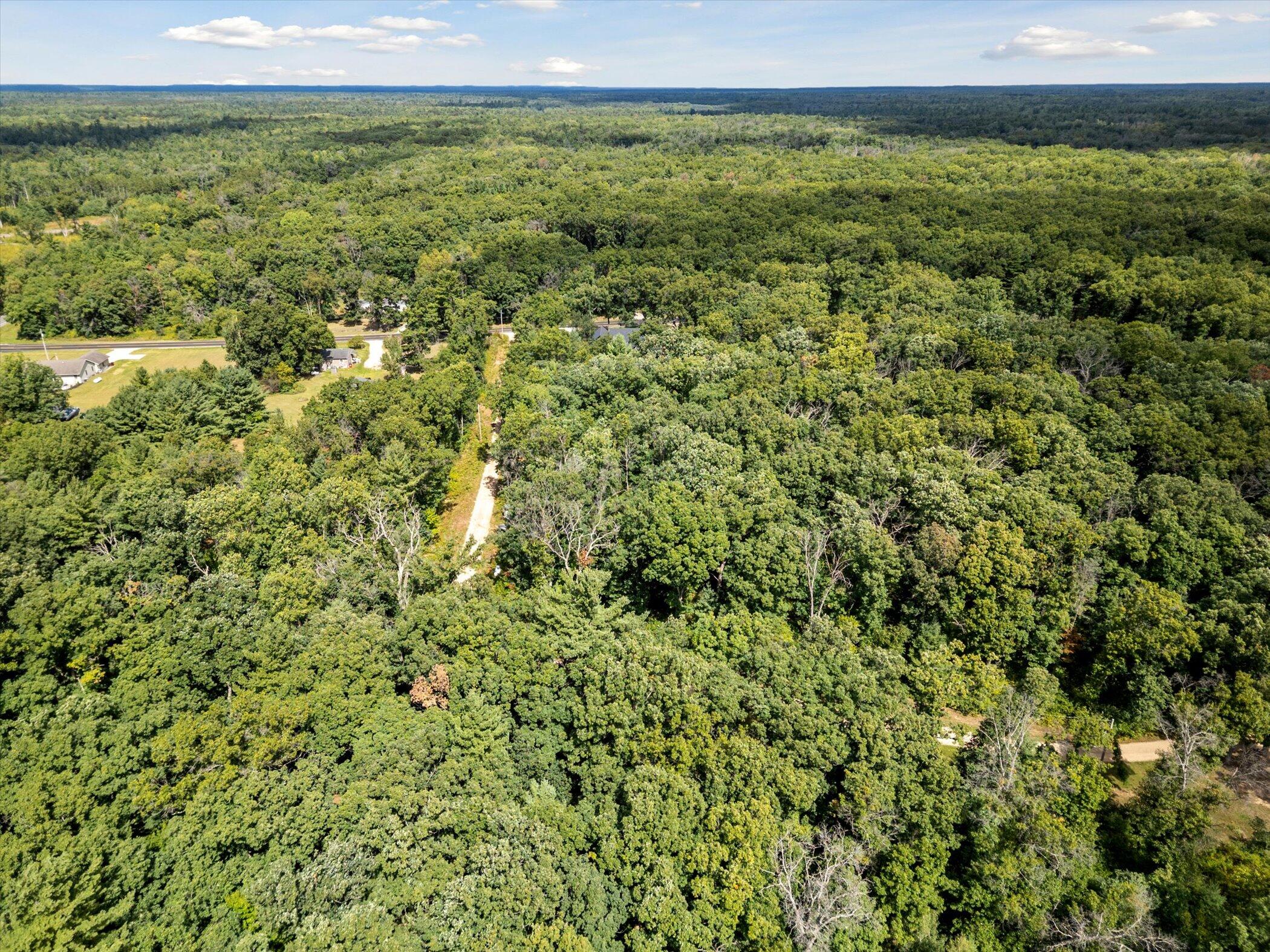 23861 Almy Road Howard City, MI 49329 - Photo 89 of 99 79-23861-Almy-Rd-Howard-City-MI-49329-Wi