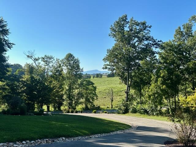 6843 Bellevue Road Forest, VA 24551 - Photo 2 of 71 IMG_8892