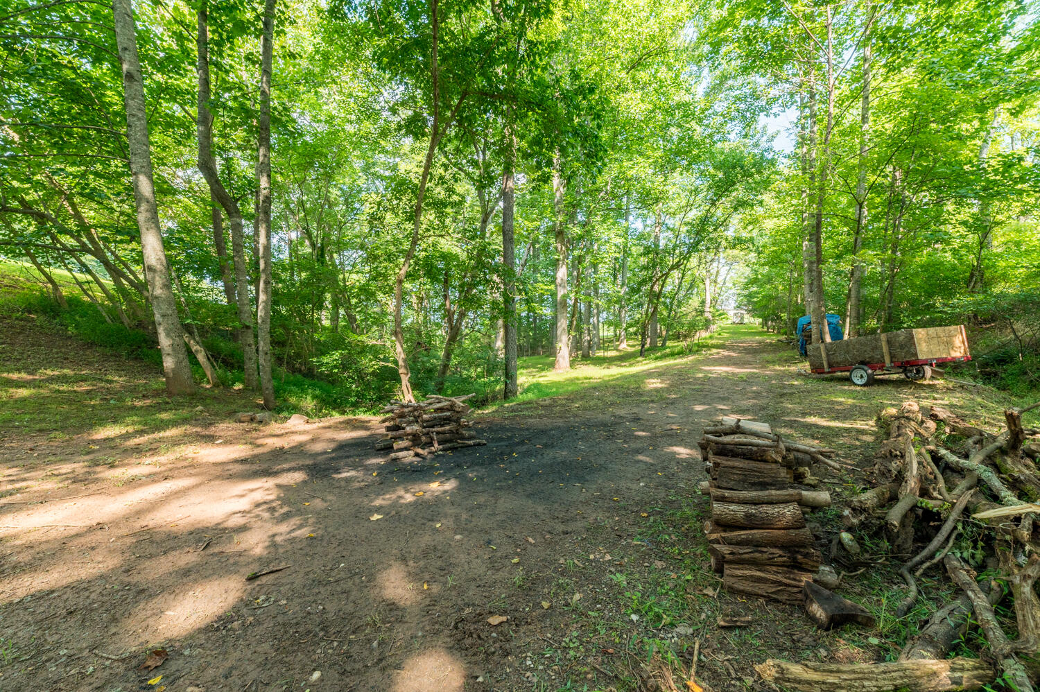 6843 Bellevue Road Forest, VA 24551 - Photo 55 of 71 6843 Bellevue-70
