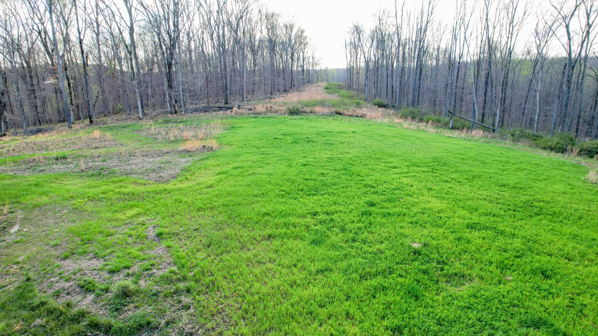 0 Bell Hollow Road Vanleer, TN 37181 - Photo 2 of 31 a backyard of a house with lots of green space and garden view