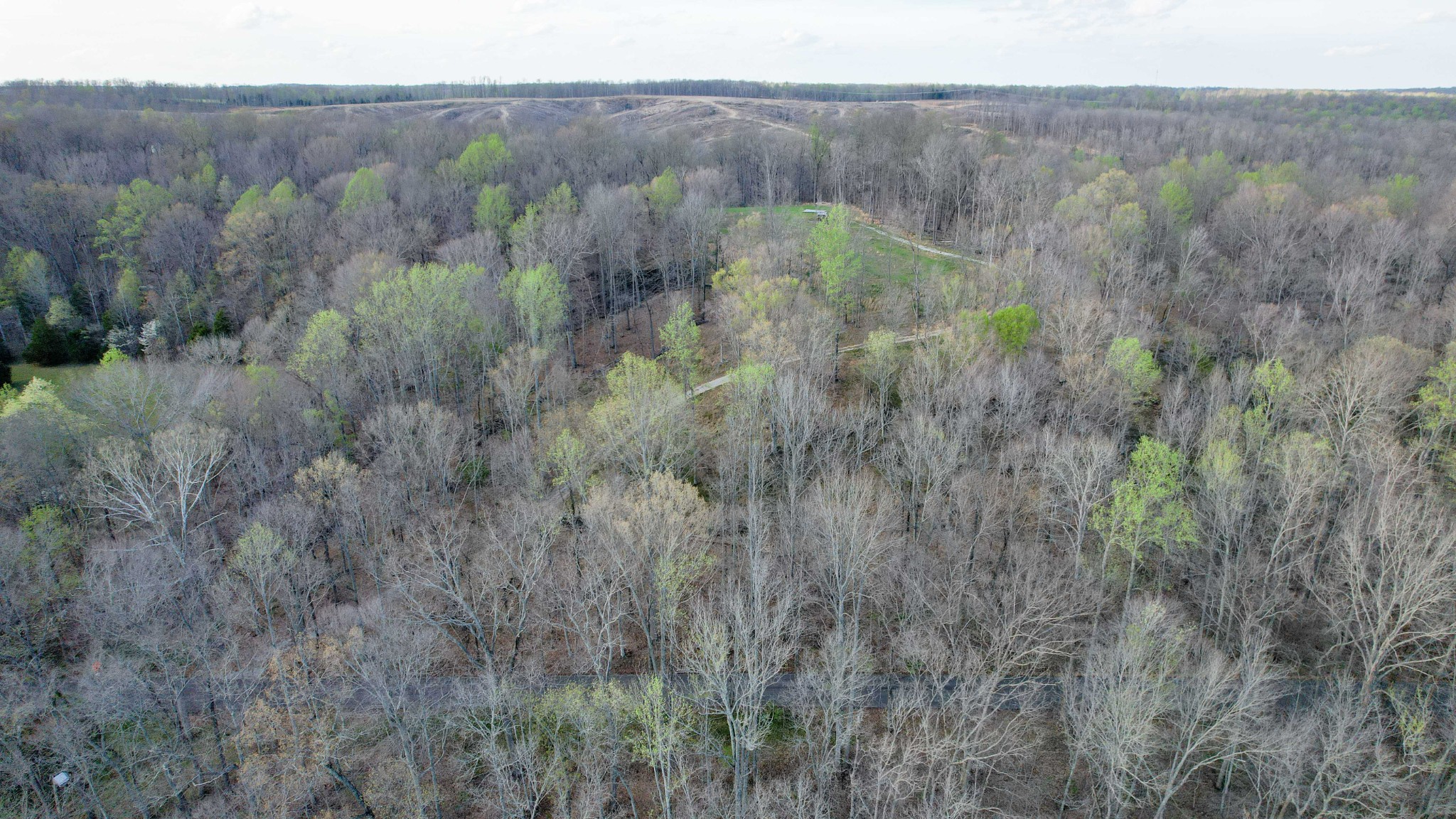0 Bell Hollow Road Vanleer, TN 37181 - Photo 27 of 31 a view of a forest with top of house