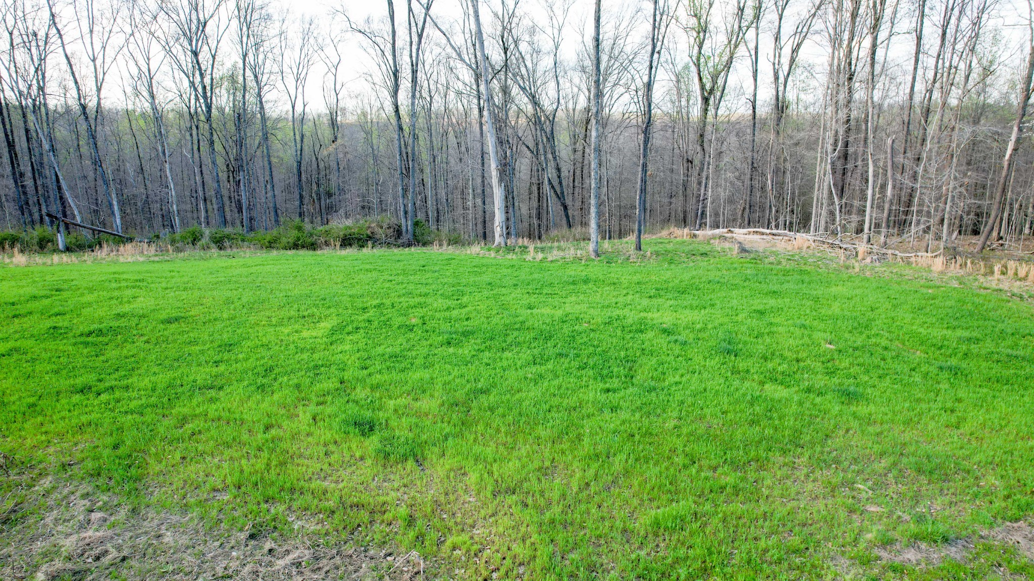 0 Bell Hollow Road Vanleer, TN 37181 - Photo 3 of 31 a view of park with trees