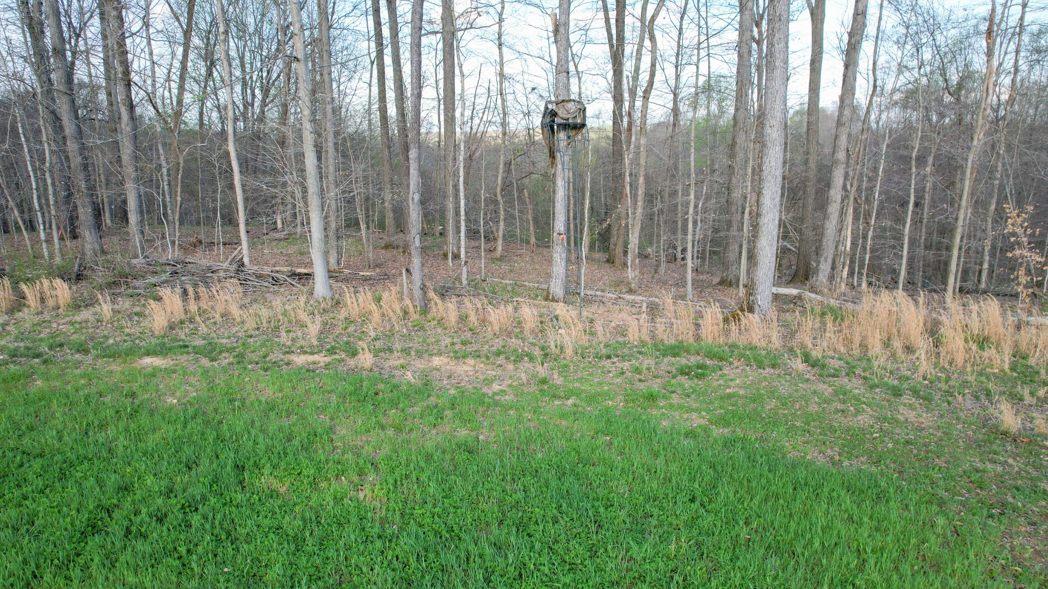 0 Bell Hollow Road Vanleer, TN 37181 - Photo 31 of 31 a view of garden