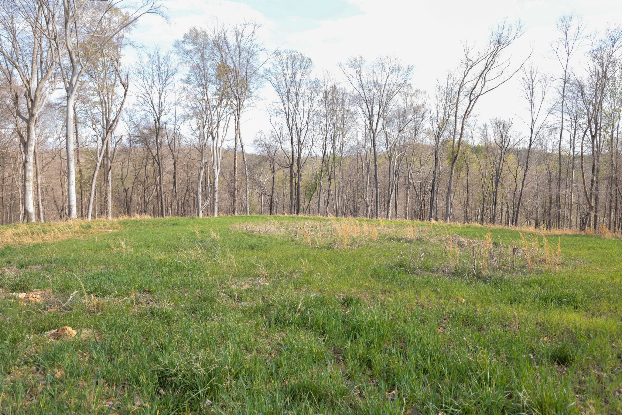 0 Bell Hollow Road Vanleer, TN 37181 - Photo 10 of 31 a backyard of a house with trees