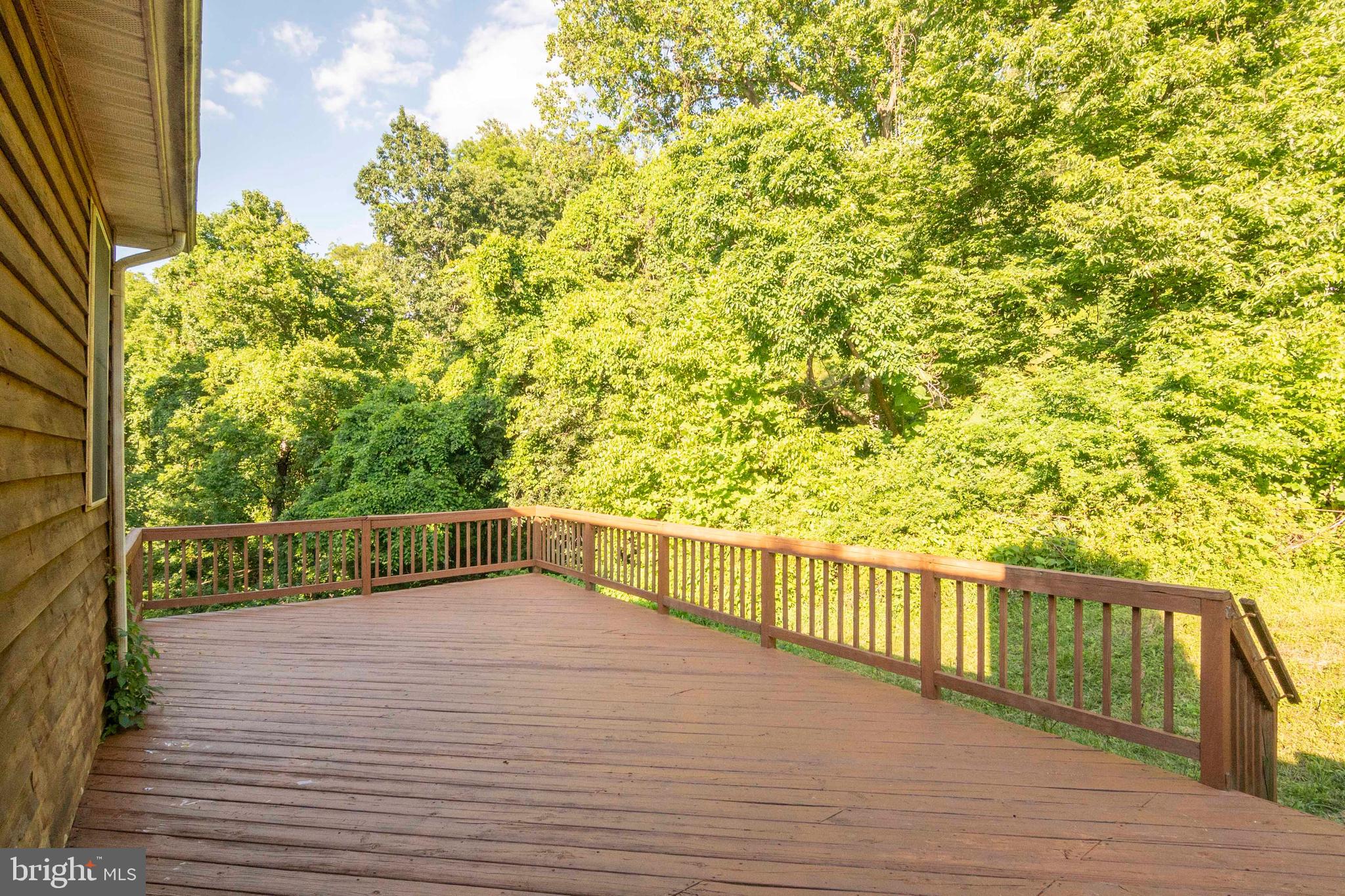 920 Doom Peak Road Linden, VA 22642 - Photo 33 of 62
