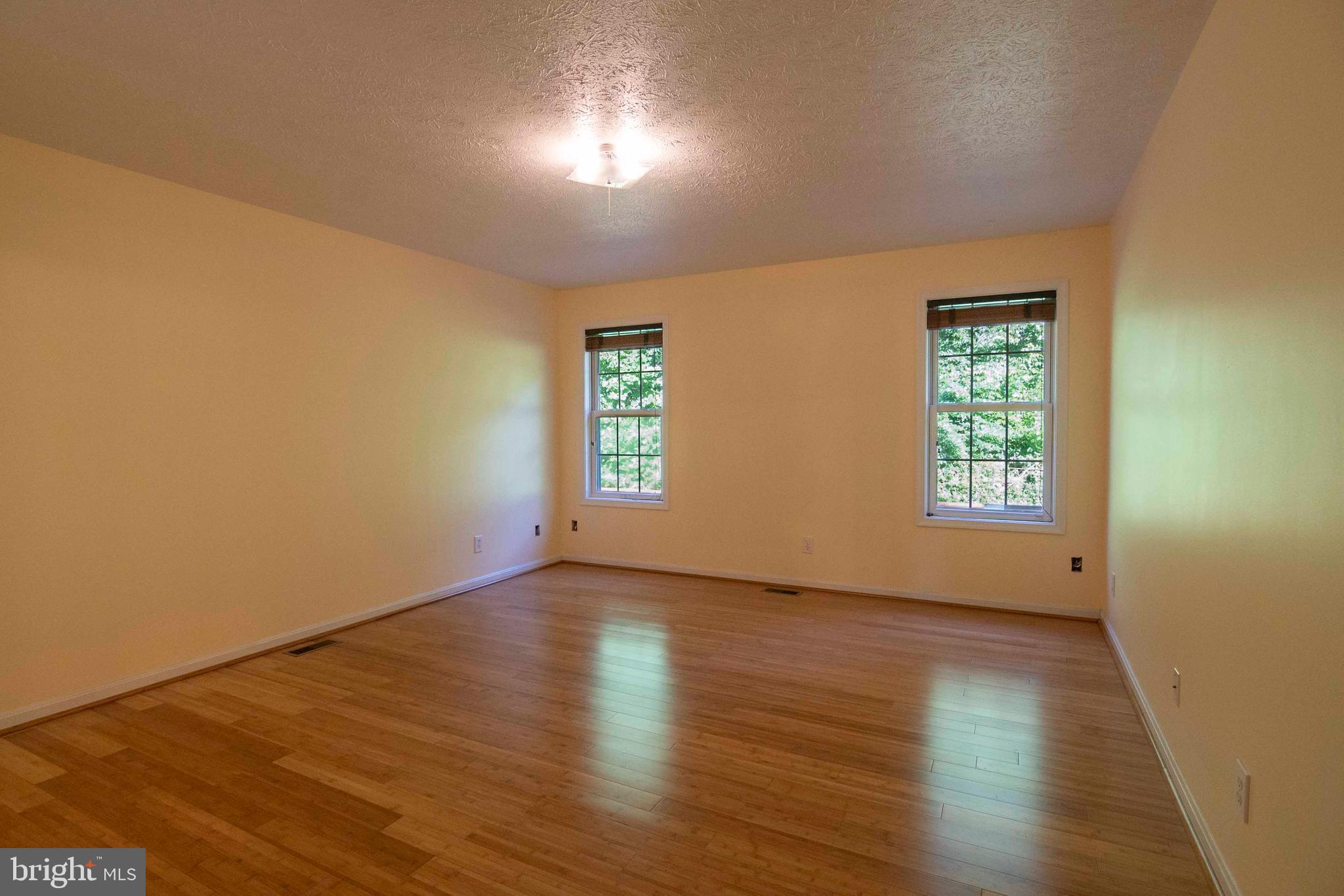 920 Doom Peak Road Linden, VA 22642 - Photo 36 of 62 Owners bedroom