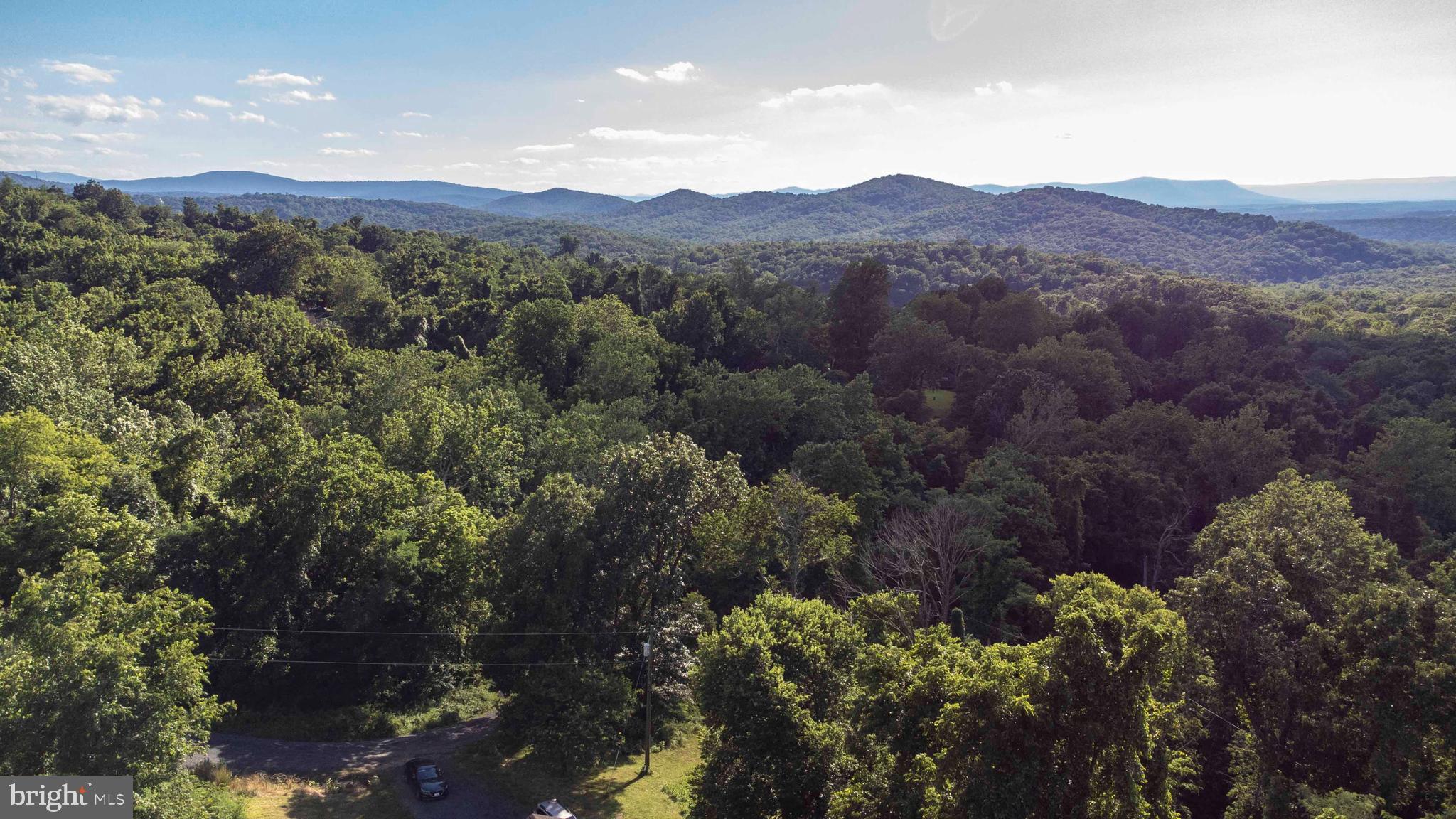 920 Doom Peak Road Linden, VA 22642 - Photo 4 of 62