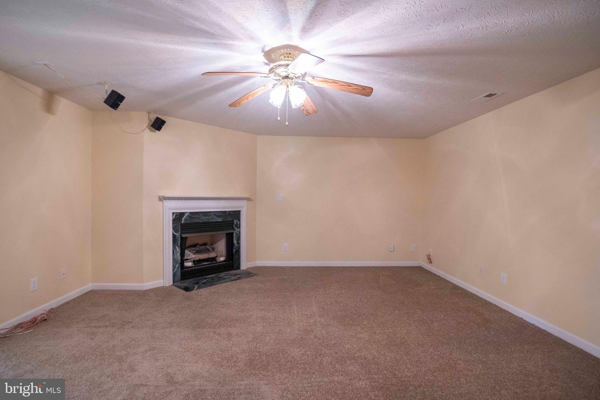 920 Doom Peak Road Linden, VA 22642 - Photo 50 of 62 Lower level living room