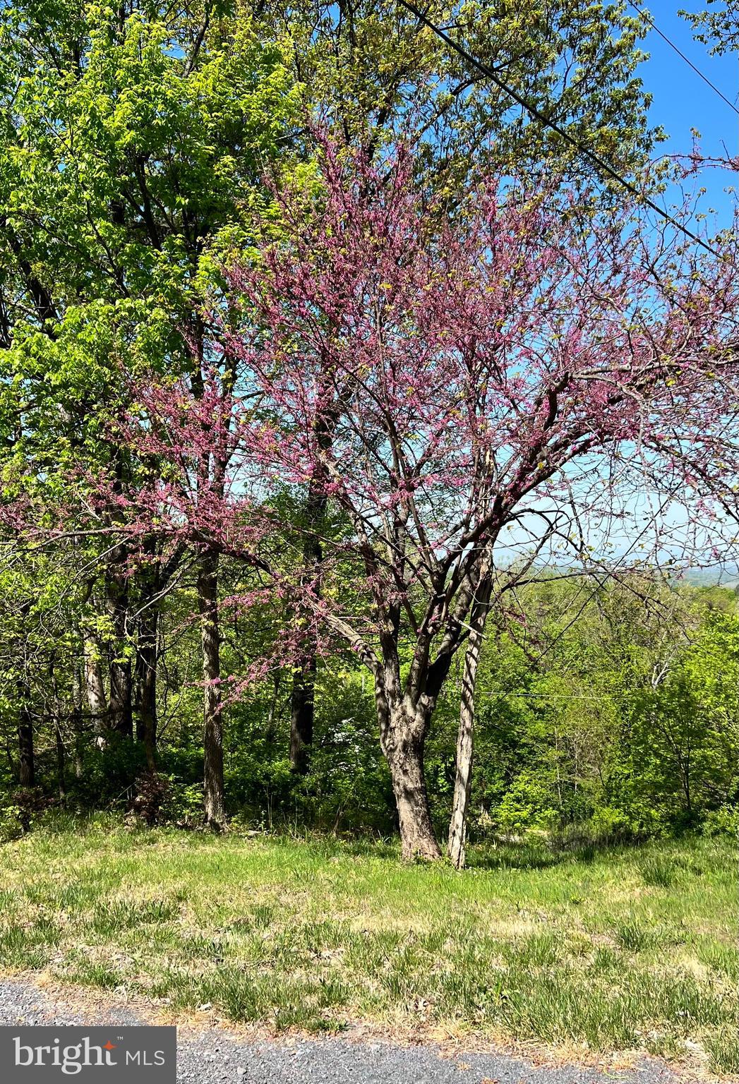 920 Doom Peak Road Linden, VA 22642 - Photo 62 of 62