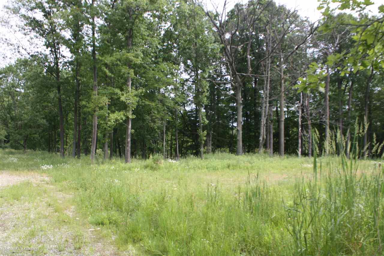 0 36 36 Mile Road Romeo, MI 48065 - Photo 14 of 21