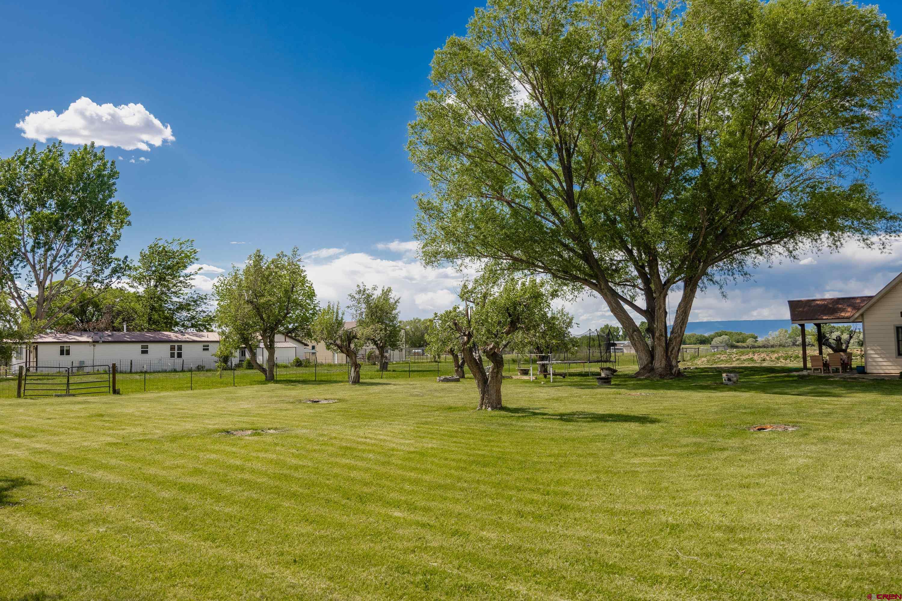 62825 Ohlm Road Montrose, CO 81403 - Photo 27 of 32 Gallery Image 27