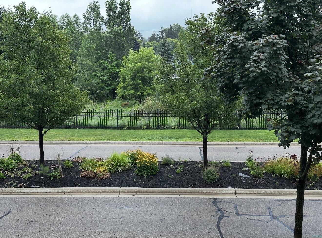 631 Nantucket Drive Lansing, MI 48906 - Photo 37 of 38 outside 4