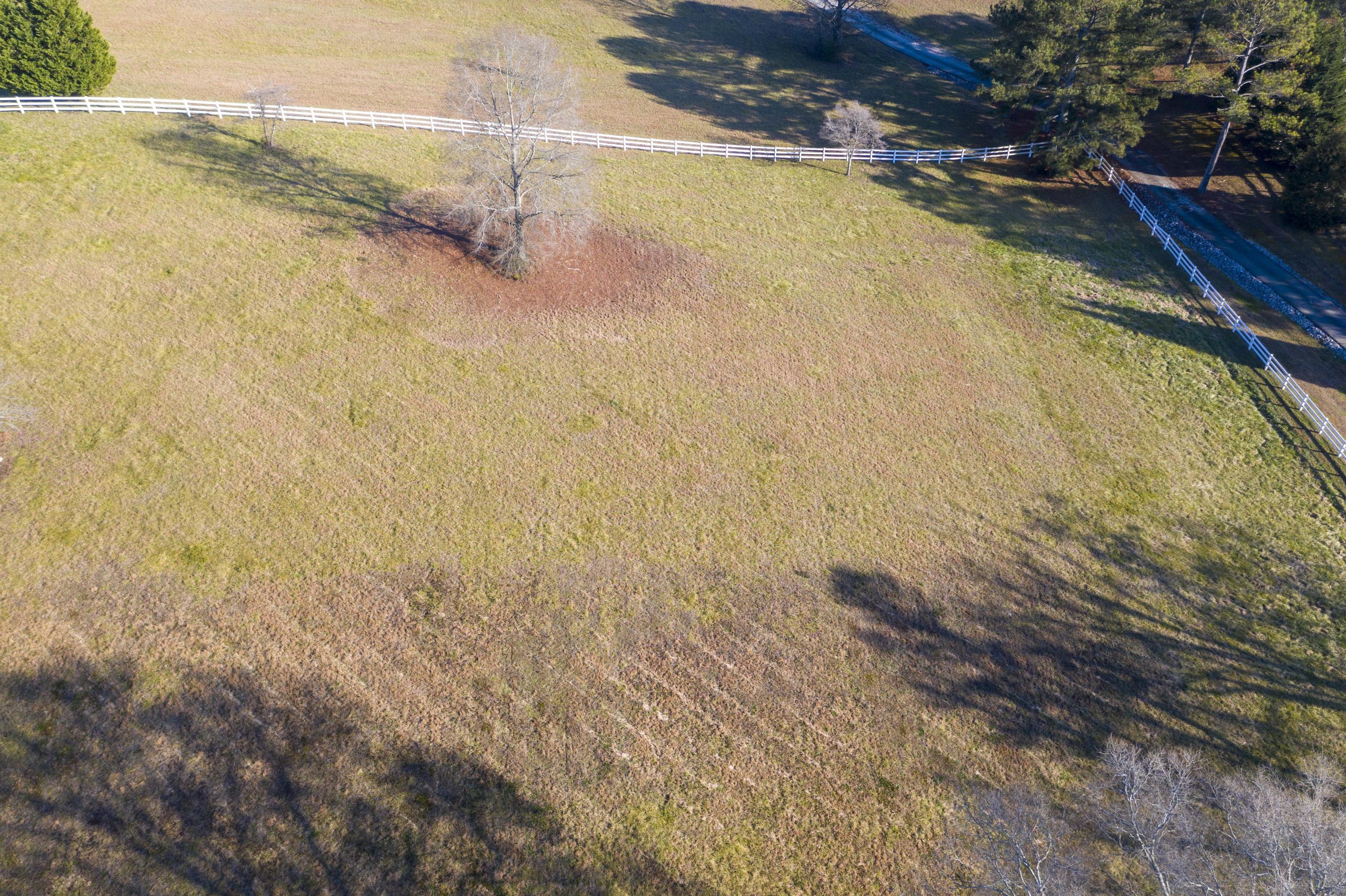 Lot 6 Grassy Branch Road Dayton, TN 37321 - Photo 5 of 10 DJI_0718