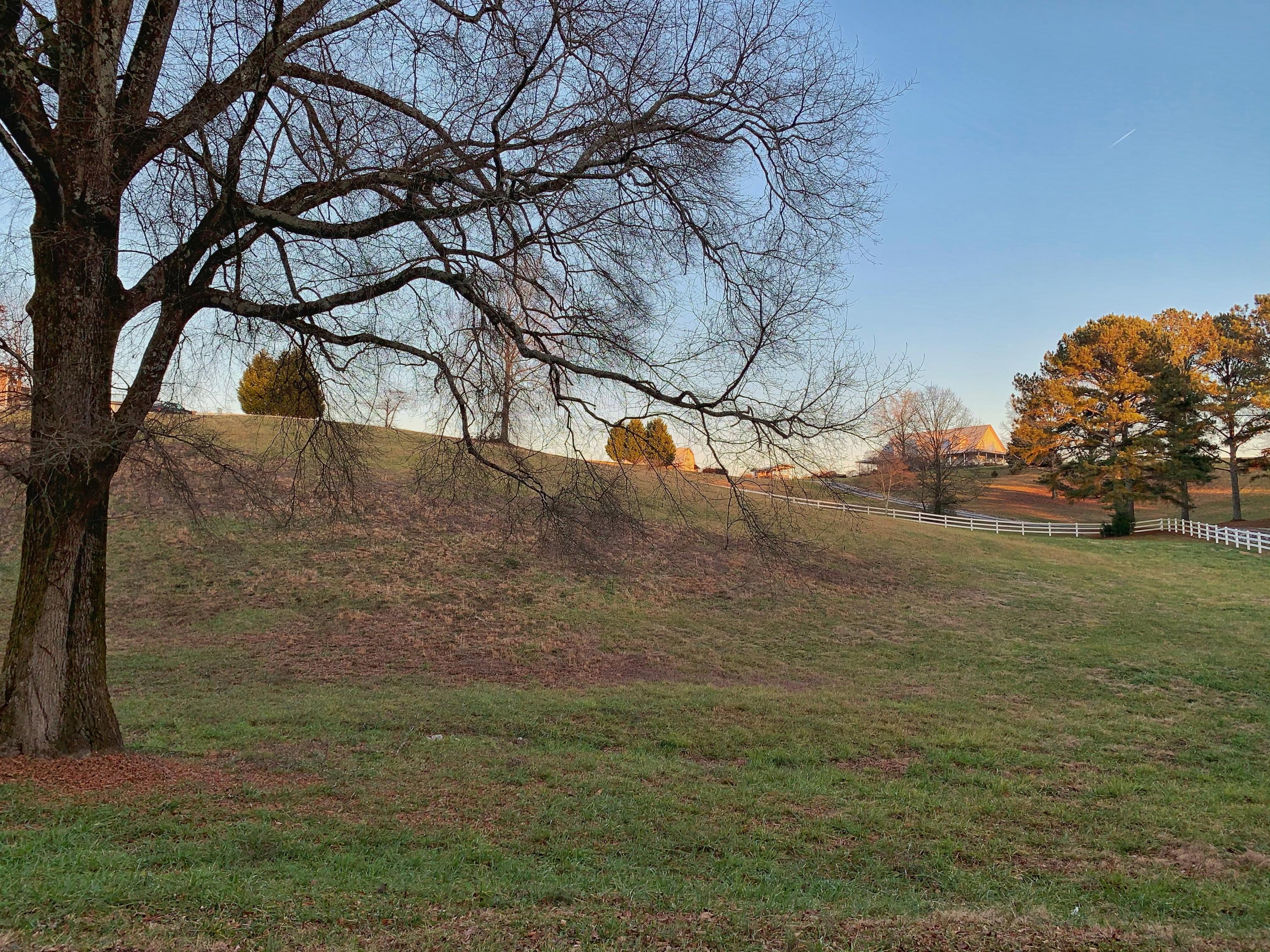 Lot 6 Grassy Branch Road Dayton, TN 37321 - Photo 7 of 10 IMG_3670