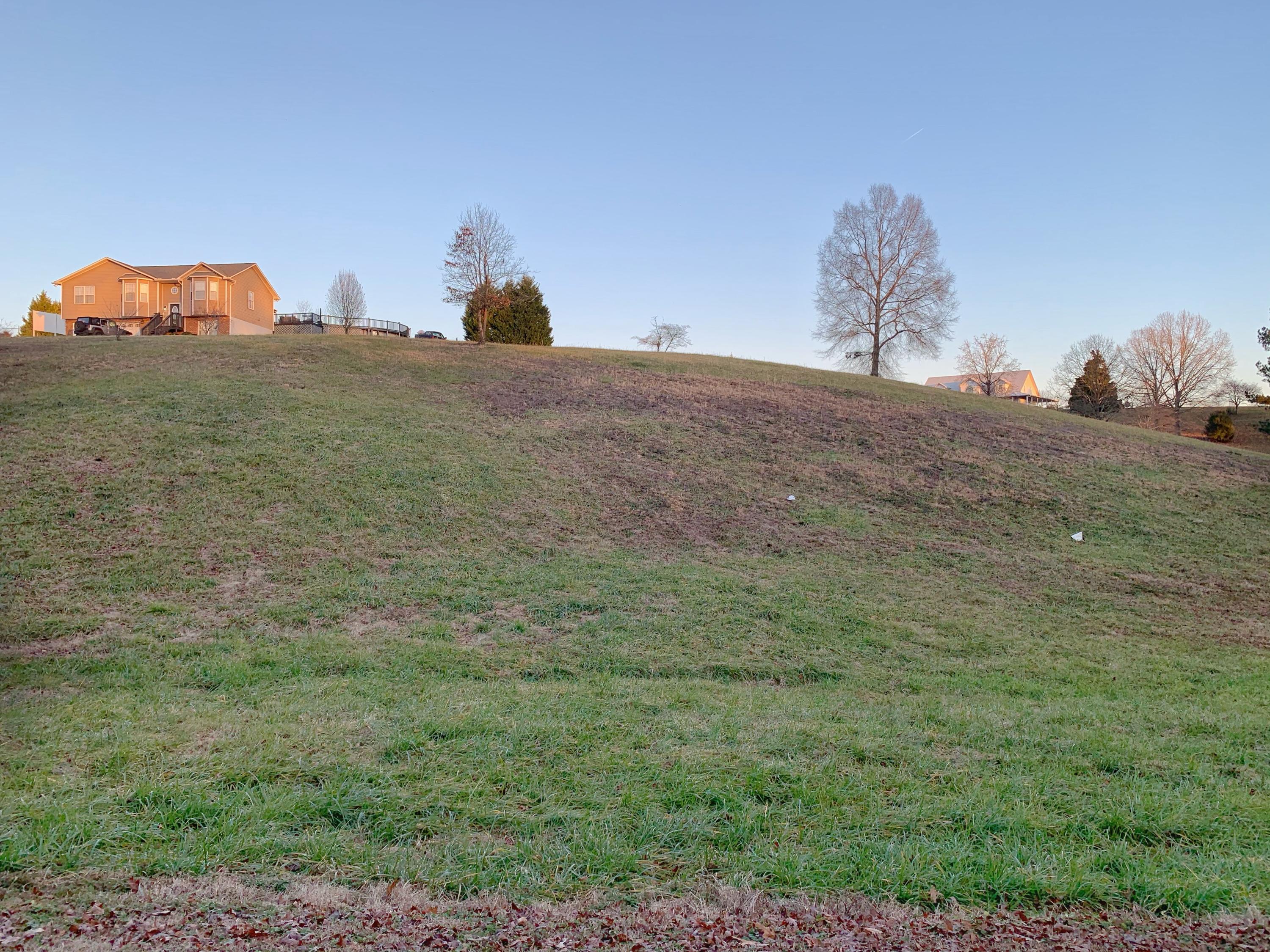 Lot 6 Grassy Branch Road Dayton, TN 37321 - Photo 8 of 10 IMG_3671