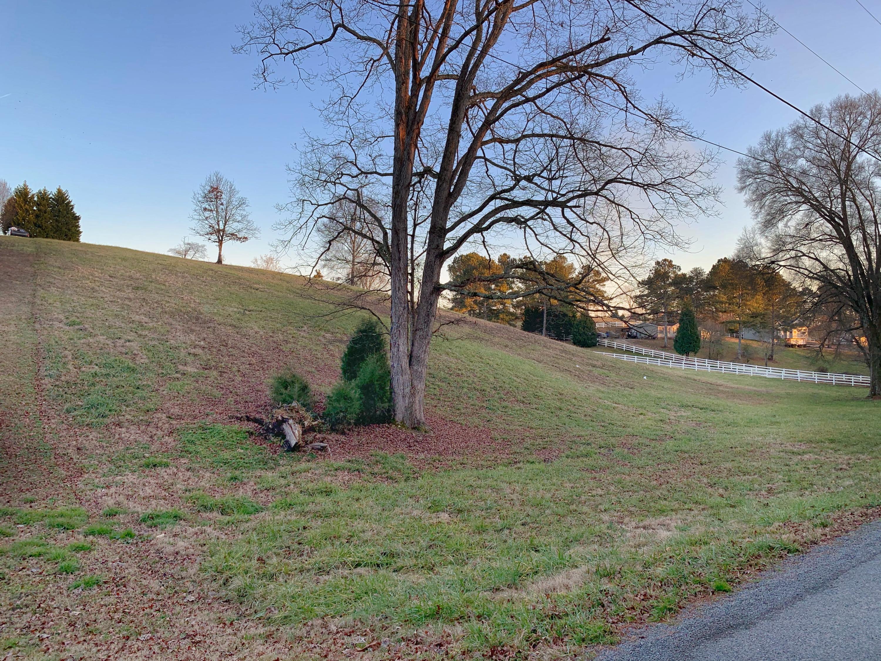 Lot 6 Grassy Branch Road Dayton, TN 37321 - Photo 10 of 10 IMG_3673